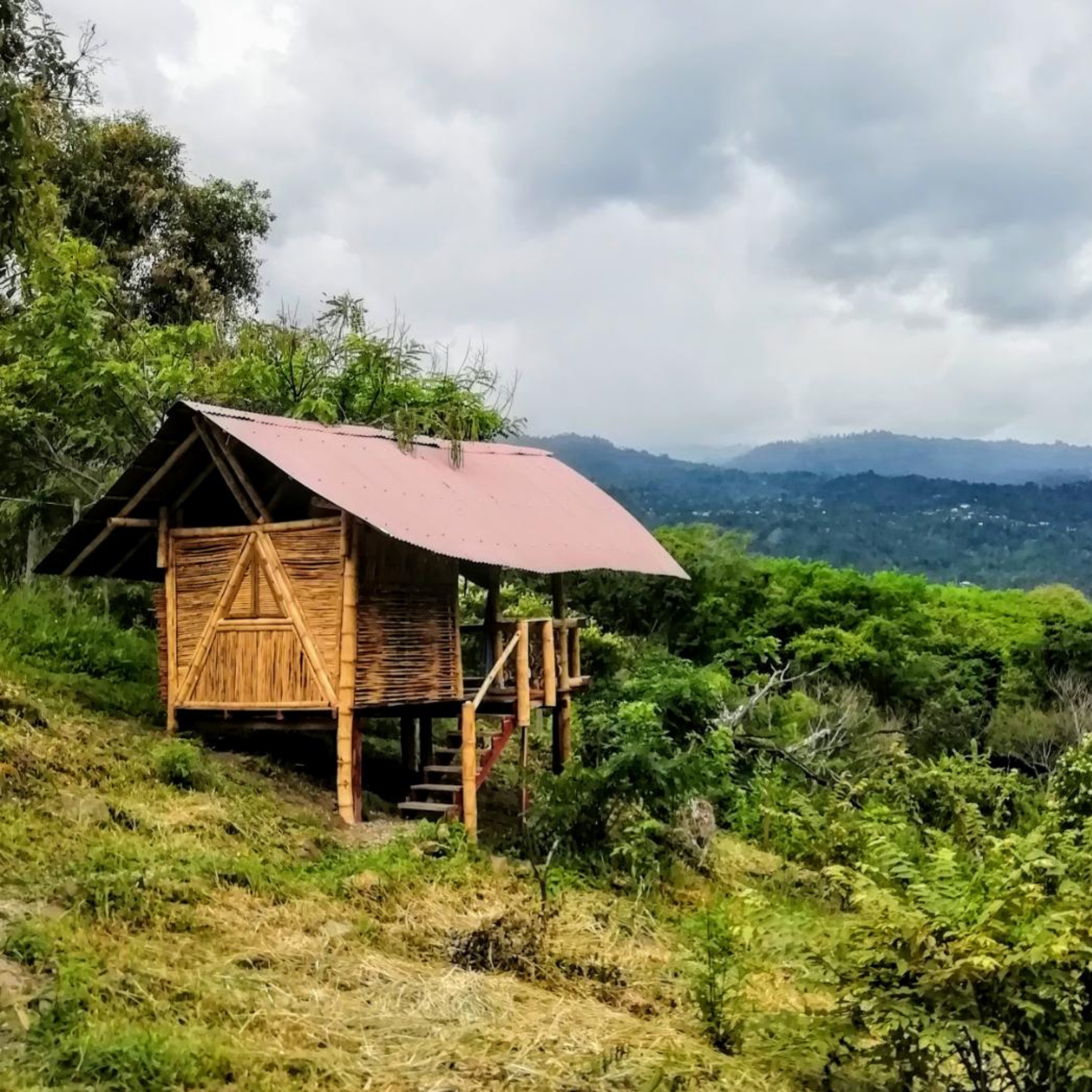 REFUGIO DESDE ATRÁS